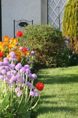 Ken-Mar House Bed And Breakfast Ballymoney Eksteriør billede